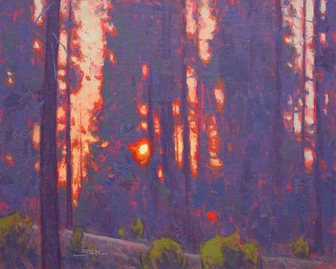 Kunst Inspo, Forest Sunset, Southwest Art, Wow Art, Fine Artist, Pics Art, Magazine Art, Art Plastique, 그림 그리기