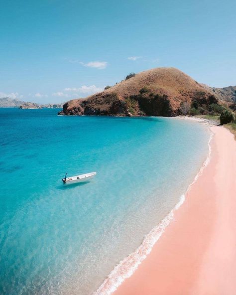 Travel Captions on Instagram: “Komodo National Park is one of seven pink beaches in the world. The color comes from microscopic animals called Foraminifera which create…” Pink Beaches, Voyage Bali, Komodo National Park, Komodo Island, Gili Trawangan, Labuan, Big Island Hawaii, Pink Beach, Destination Voyage