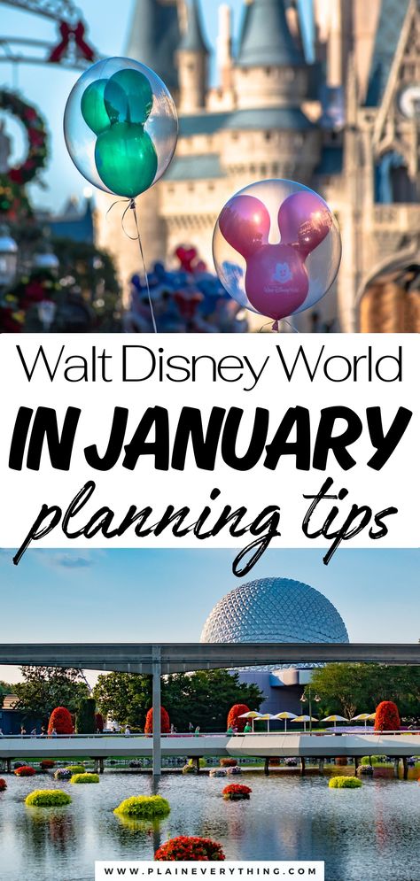 Walt Disney World In January Planning Tips Things You Need For Disney World, Disney World Tips And Tricks For Adults, Disney World Pregnant, Disney World Things To Do, Walt Disney World Trip Planning, Disney In A Day, Disney Preparation Tips, Disneyland Bucket List, Disney Hacks Tips