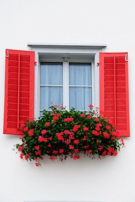 Match the Flowers | Go bold at home. We can bet you’ve driven by an adorable house with a bright yellow door and thought, “I wish I could do that to my house.” Good news: you can! Painting your exterior window shutters is an easy and low-cost way to add curb appeal to your house. Bright shutter colors like aqua, red, green, and even purple will completely transform your home. If you’ve been looking for ways to add curb appeal to your home without an expensive add-on or an entire exterior coat of Colorful Shutters, French Door Shutters, Small Shutters, Window Shutters Exterior, Shutter Colors, Painting Shutters, Window Box Flowers, House Of Turquoise, Yellow Doors