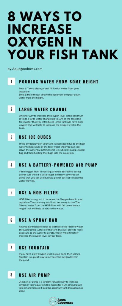 How to Increase Oxygen in Fish Tank? (8 Simple Ways) Fish Tank Hacks, Fish Tank Fresh Water, Water Tank Stand, Small Turtle Tank, Aquarium Layout, Catfish Farming, Soil Nutrients, Survival Knowledge, Turtle Tank Setup