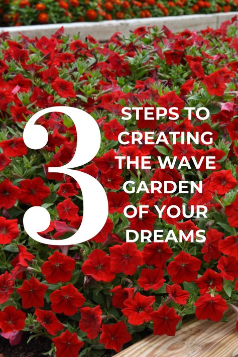 If you dream of having a full, lush, vibrant flower garden blooming with all kinds of Wave Petunias, here are the 3 main steps to turning that dream into a reality! Petunia Garden Flower Beds, Petunias In Flower Beds, Wave Petunias Flower Bed, Wave Petunias Planter, Petunias Flower Bed Front Yards, Petunia Flower Bed, Petunia Garden, Petunia Planter, Petunia Care