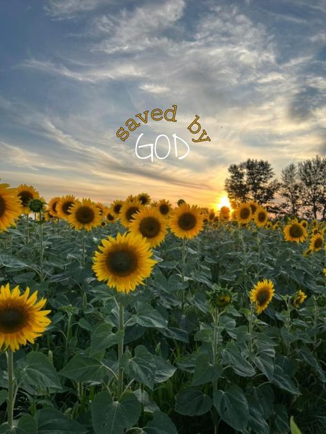 #grace #GOD #christian #aesthetic #sunflowers Cute Jesus Wallpaper, Jesus Wallpaper Iphone, Jesus Wallpaper, Iphone Wallpapers, Wallpaper Iphone, Sunflower, Iphone Wallpaper, Jesus, Wallpapers