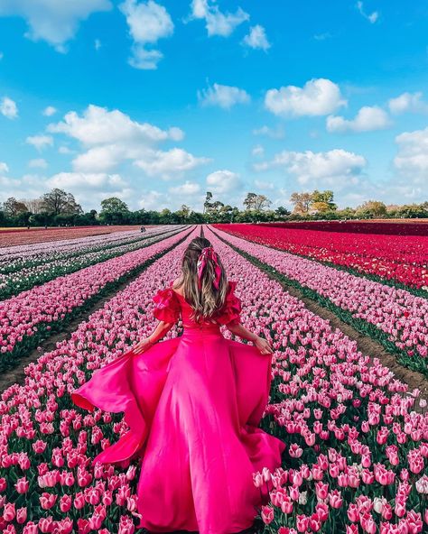 🌸 Raluca ✨London✨Travel 🌸 on Instagram: “Happy weekend from the most beautiful tulip fields in the UK! I’m so happy that I’ve managed to go this year as look at this beauty, so…”