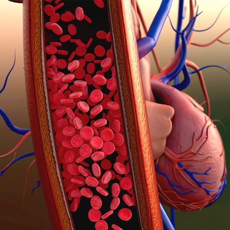 High Blood Pressure (Hypertension): Symptoms, Causes, Treatments Varicose Vein Cream, High Blood Pressure Medication, Varicose Veins Treatment, Normal Blood Pressure, Blood Pressure Medications, The Warning, Lower Blood Pressure, Signs And Symptoms, Blood Vessels