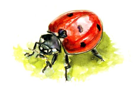 #WorldWatercolorGroup - Day 15 - A Gigantic Ladybug - Doodlewash Watercolor Bugs, Bug Watercolor, Ladybug Painting, Watercolor Sketching, Lips Painting, Bee Artwork, Lady Beetle, Watercolor Books, Small Wall Art