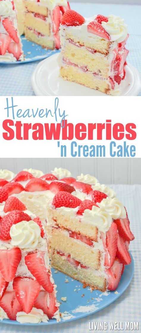 Cake With Fresh Strawberries, Strawberries N Cream, Strawberry Cream Cakes, Coconut Dessert, Cake Homemade, Strawberry Dessert Recipes, Strawberry Dessert, Strawberry Cake Recipes, Brownie Desserts