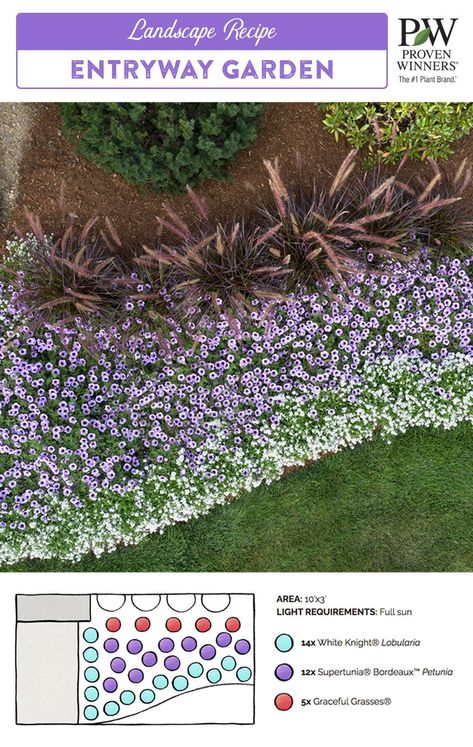 An entryway can be beautiful and inviting with minimal maintenance. With only 3 plants, you can create a layered landscape in a small space without sacrificing good looks. White Knight Lobularia's trailing habit and masses of fragrant white blooms fill the foreground and set the stage for Supertunia Bordeaux Petunia's plum purple flowers. Purple Fountain Grass completes the trio, adding height and drama. Follow the link for a planting diagram and plant list to get started. Lavender And Succulents Landscape, White And Purple Flowers Garden, Purple And Green Landscaping, Purple Fountain Grass Care, Purple And White Landscaping, Purple And White Flowers Gardens, Supertunia Bordeaux Petunia, Purple Fountain Grass Landscape, Fountain Grass Landscaping Ideas