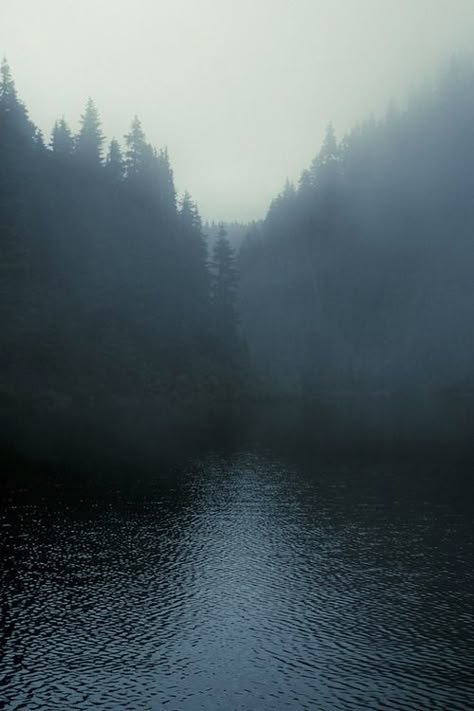 Dark Naturalism, Foggy Day, The Fog, Belle Photo, Dark Aesthetic, Beautiful World, The Great Outdoors, Mother Nature, Mist