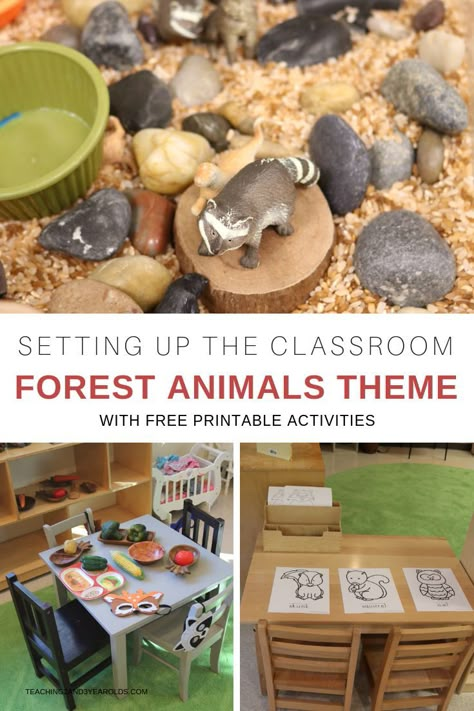 Creating a forest animals theme encourage our toddlers and preschoolers to become engaged in lots of hands-on activities. There are multiple sets of printables provided, too, that can be used in the classroom or homeschool. #fall #animals #forestanimals #themes #toddlers #preschool #classroom #homeschool #teachers #printables #nature #AGE2 #AGE3 #teaching2and3yearolds Preschool Forest Animals, Camping Nursery Theme, Forest Animals Preschool, Forest Animal Crafts, Forest Preschool, Forest Animals Theme, Fall Animals, Animals Preschool, Forest Animal Nursery