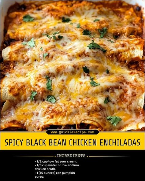 Quick & Easy Recipes | Spicy Black Bean Chicken Enchiladas | Facebook Soft Tortillas, Recipes Spicy, Black Bean Chicken, Enchilada Ingredients, Quick Easy Recipes, Low Sodium Chicken Broth, Chicken Enchiladas, Canned Pumpkin, Chicken Tenders