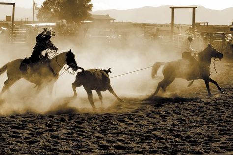 Team Roping, Rodeo, Cowboy, Photography