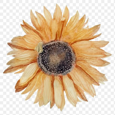 Art Png Aesthetic, Vintage Png Aesthetic, Flower Collage Art, Sunflower Journal, Tree Branch Tattoo, Sunflower Vintage, Tree Aesthetic, Photo Elements, Flower Sunflower