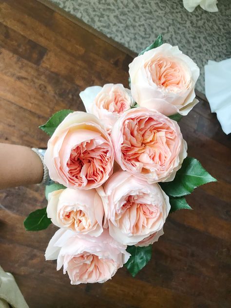 Juliet Roses Bouquet, Juliette Garden Rose, Juliet Garden Rose Bouquet, Blush Garden Rose, Juliet Rose Aesthetic, Juliet Rose Flower, Juliet Rose Bouquet, Garden Rose Wedding, Juliet Garden Rose