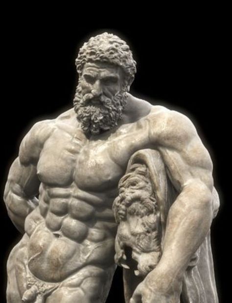 Male Body Drawing, 남성 근육, Ancient Greek Sculpture, Anatomy Sculpture, Classic Sculpture, Gym Art, Greek Statues, Ancient Greek Art, Rennaissance Art