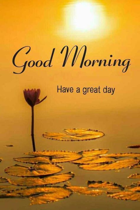 Good Morning Monday Images, Latest Good Morning Images, Lovely Good Morning Images, Latest Good Morning, Good Morning Beautiful Gif, Good Morning Flowers Quotes, Good Morning Nature, Good Morning Images Hd, Good Morning Wallpaper