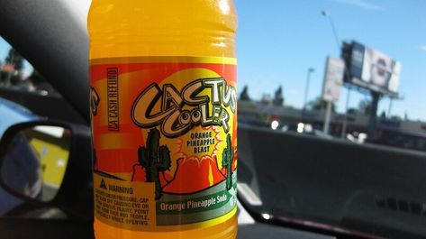 5. Cactus Cooler Cactus Cooler, Disneyland Entrance, Disney World Florida, Amazing Buildings, Pacific Coast Highway, Disney Castle, Winter Vacation, Venice Beach, Pacific Coast