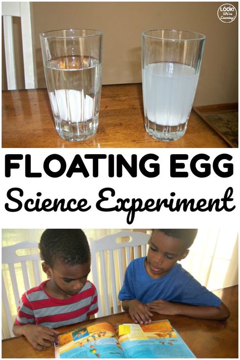 Simple Science Experiments: Easy Floating Egg Experiment for Kids Science Experiments Easy, Egg Science, Egg Experiment, Floating Eggs, Simple Science Experiments, Fun Experiments For Kids, Egg Experiments, Toddler Science Experiments, Experiments Kids