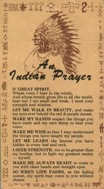 Native Wisdom, Indian Wisdom, Native Quotes, American Indian Quotes, American Proverbs, Native American Prayers, Native American Spirituality, American Quotes, Indian Quotes