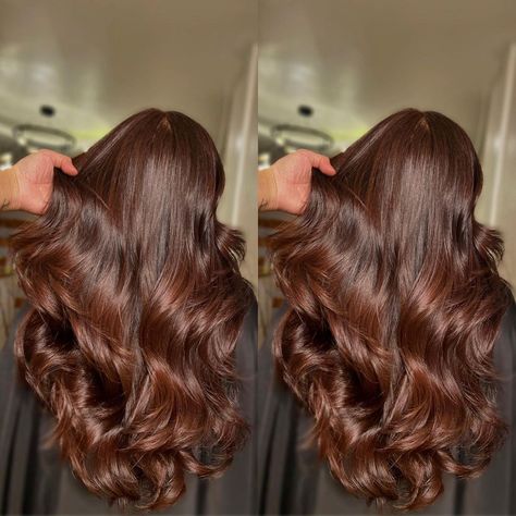 Low Maintenance Red Brown Hair, Brown Reddish Hair, Brown Hair With Red Undertones, Fall Hair Inspiration, Brownish Red Hair, Reddish Brown Hair Color, Chestnut Brown Hair, Reddish Brown Hair, Chestnut Hair