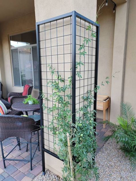 Corner Trellis Ideas, Corner Trellis, Porch Trellis, Dog Friendly Backyard, Planter Trellis, Metal Trellis, Office Entrance, Backyard Projects, Front Garden