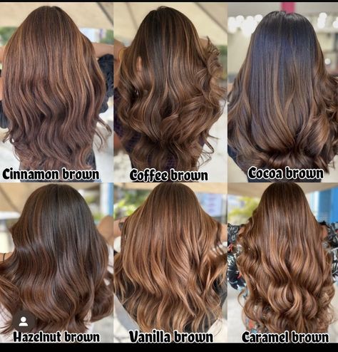 Hazelnut Hair Color, Hazelnut Hair, Kadeřnické Trendy, Brown Hair Looks, Hair Inspiration Long, Brown Hair Inspo, Brunette Hair With Highlights, Long Hair Color, Brown Hair Balayage