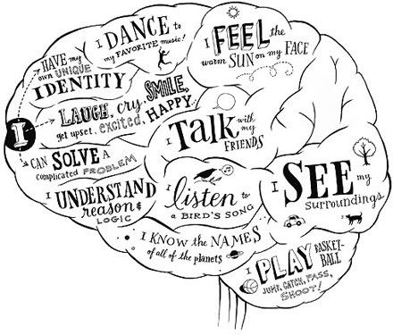 8.) What I like about my dream job is that I can act out what I am feeling in the inside through another character.What I don't like is that I have to come up with ideas for the script and making sense of it in the scene. Brain Infographic, Brain Anatomy, The Human Brain, Brain Chemistry, Brain Science, Counting Calories, School Psychology, Best Way To Study, Human Brain