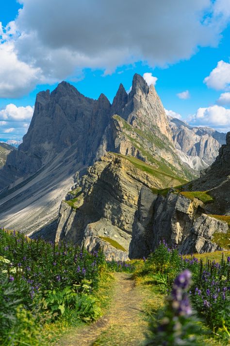 How To Visit Seceda In The Italian Dolomites (No Hiking) Italian Dolomites, Thailand Itinerary, Italian Alps, Holiday Photography, Italy Photography, Europe Tours, Quick Guide, Beautiful Mountains, Hiking Trip