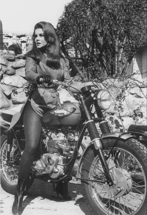 Vintage Hollywood Classics Triumph T100, Triumph Motorbikes, Moto Triumph, Kickass Women, Motos Vintage, Bridget Bardot, Old Motorcycles, Ann Margret, Triumph Bonneville