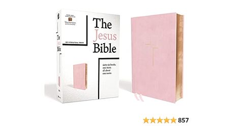 The Jesus Bible, NIV Edition, Leathersoft over Board, Pink, Comfort Print: Zondervan, Passion Publishing, Giglio, Louie: 9780310450788: Amazon.com: Books The Jesus Bible Niv, Joshua Noom, Passion City Church, The Books Of The Bible, Niv Bible, Bible Images, Jesus Stories, Bible Translations, Jesus Bible