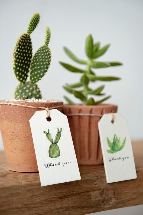 Paper tag mockup psd on cute cactus pots | premium image by rawpixel.com / Roungroat Plant Tags Diy, Mall Ideas, Bunny Ear Cactus, Tag Mockup, Cactus Gifts, Cute Cactus, Cactus Pot, Plant Tags, Free Gift Tags