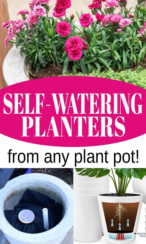 Collage of turning a planter into a self-watering pot Diy Self Watering Planter Potted Plants, Self Watering Vertical Garden Diy, Self Watering Hanging Basket, How To Make Self Watering Pots, Diy Self Watering Planter Wick, Potted Plants In Landscaping, Self Watering Planters Diy, Self Watering Plant Pot, Diy Self Watering Planter Indoor