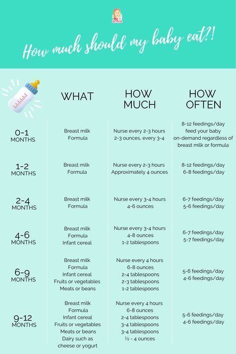 How many ounces should your baby take? Do you wake a sleeping baby to eat? Why do they seem hungry all the time? When you can give your baby solid food? Whether you’re a first-time parent or a seasoned caregiver, figuring out why your baby is crying. Fortunately, paying attention to your baby’s daily feeding schedule can help. By following a feeding schedule, you might be able to more easily tell whether the baby is pooped or tired instead. Check the schedule in the article. Infant Eating Schedule, Feeding Schedule With Solids, Newborn Food Intake, Bottle Feeding Schedule For 3 Month Old, One Month Feeding Schedule, How Much Should Newborns Eat, One Month Old Feeding Schedule, Newborn Feeding Schedule Formula, 7 Months Feeding Schedule