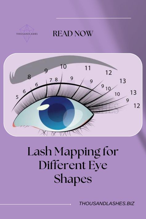 Lash Cluster Placement, Kitten Lash Mapping, Lash Mapping For Downturned Eyes, Kitten Eyelash Extensions Mapping, Lash Mapping For Round Eyes, Different Eyelash Styles, Cateye Eyelashes Extensions Map, Cluster Lash Mapping Natural, Lash Map Almond Eyes