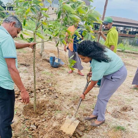 Today, on World Environment Day, our dedicated staff at Bolagala Floating Resort took a proactive step towards sustainability by planting in our greenhouse. With each seed sown, we're nurturing a brighter, greener future for our planet. By fostering a culture of environmental stewardship, we're not just a resort; we're a community committed to preserving the beauty of our surroundings. Join us in celebrating this important day by making a pledge to protect and preserve our precious environmen... Environmental Stewardship, World Environment Day, Environment Day, Our Planet, Planting, Sustainability, Planets, The Fosters, Floating