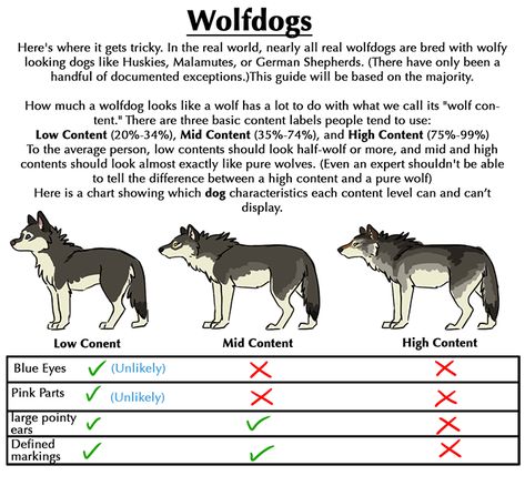 WOLVES, momo-no-aware: It seems like all of the... Wolf Dogs, Wolf Quotes, Wolf Drawing, Animal Facts, Poses References, Wolf Dog, Wolf Art, Anatomy Reference, Arte Fantasy