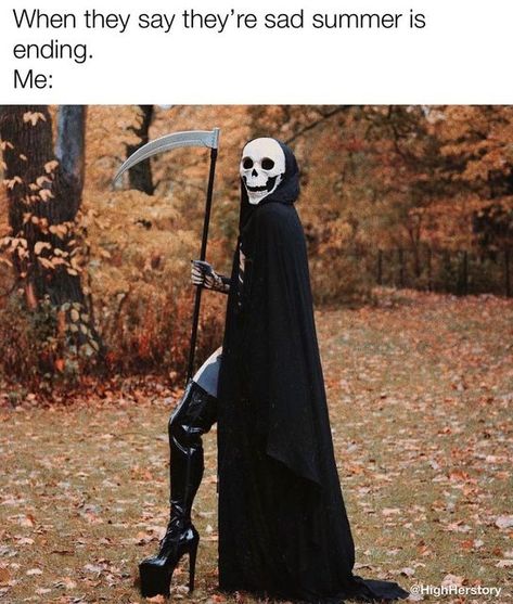 Dead Inside Meme, Goth Memes, Goth Subculture, Animal Facts, Funny Animal Memes, Funny Fails, Funny Signs, Funny People, Funny Texts