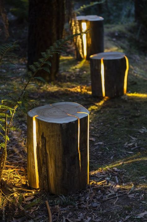 garden lighting Tree Stumps, Desain Lanskap, Reclaimed Wood Projects, Backyard Lighting, घर की सजावट, Salvaged Wood, Diy Backyard, Landscape Lighting, Outdoor Projects