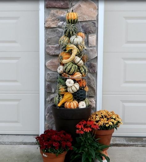 Decorate your front porch for fall and thanksgiving on a budget with this gourd topiary made from chicken wire and tomato cage. Quick and easy diy fall topiary decoration. #diy #falltopiary #frontporch #decorations #thanksgiving Topiary Front Door, Fall Topiary, Tomato Cage Crafts, Fall Topiaries, Front Door Diy, Topiary Diy, Pink Mason Jars, Mosaic Flower Pots, Porch Decorations