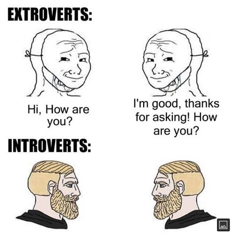 Introvert and extrovert meme Shy Vs Introvert, Introvert X Extrovert Ship Dynamic, Shy Meme, Introvert And Extrovert, Introvert Vibes, Introvert Vs Extrovert, Introvert Extrovert, Shy People, Ew People