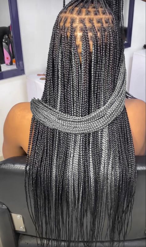 Gray And Black Knotless Braids, Grey Peekaboo Knotless Braids, Black And Silver Braids For Black Women, Grey Knotless Braids For Black Women, Gray Box Braids Hairstyles, Black And Grey Braids For Black Women, Silver And Black Braids, Salt And Pepper Knotless Braids, Gray And Black Braids