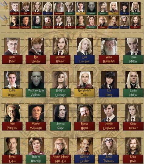 Guess Who Harry Potter, Harry Potter Group Names, Harry Potter Characters Pictures, Harry Potter All Characters, Harry Potter Names, Harry Potter Personajes, All Harry Potter Characters, Harry Potter Characters Names, Harry Potter Classes