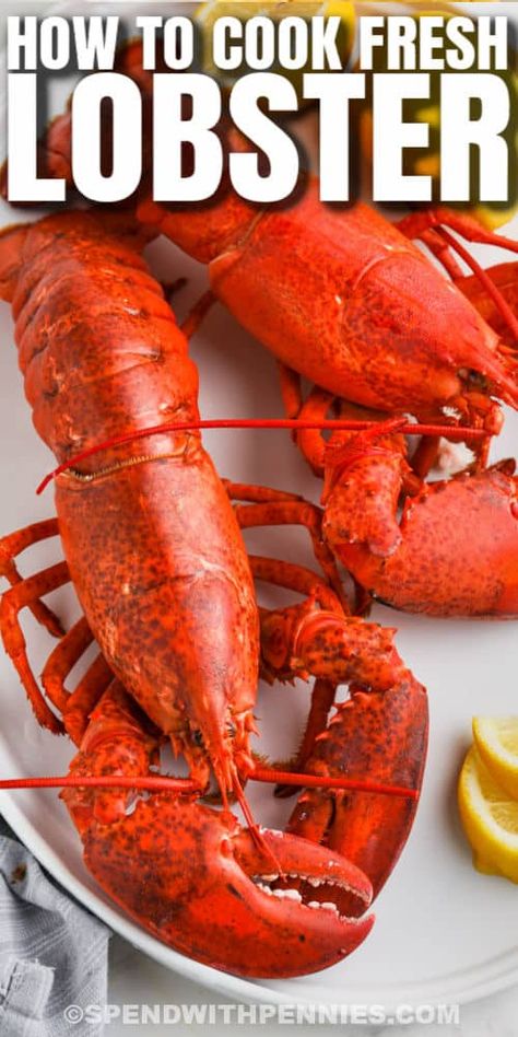 Every home cook should know how to cook lobster, and it's super easy to do. Lobster is amazing and so flavorful, it doesn't take much effort to make it taste perfect. #spendwithpennies #howtocooklobster #entree #recipe #howto #tail #oven #cookingtime #frozen #stove #tails #claws #grill #boil How Long To Boil Lobster, Live Lobster Recipes How To Cook, Cooking Live Lobster, How To Cook Whole Lobster, Whole Lobster Recipes How To Cook, How To Cook Lobster Tails On Stove, How To Cook A Lobster Tail, Devein Shrimp, Cook Lobster