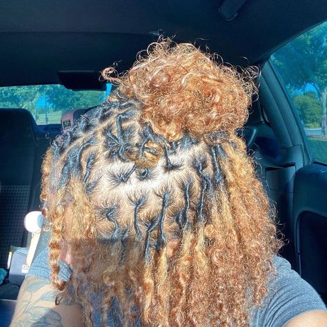 Natural Locs Dyed, Curly Natural Locs, Ways To Style Starter Locs, Stater Locs Hairstyles, Dyed Tips Locs, Short Natural Locs, Starter Loc Hairstyles For Women, Locs On Curly Hair, Starter Locs Parting Patterns