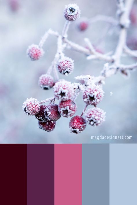 Get some inspiration: discover 10 beautiful winter color palette ideas! These color combinations are perfect for graphic designers or for any creative projects #graphicdesign #colorpalettes #inspiration #art #colors #colorcombinations #creative #branding #winter Youthful Colour Palette, Winter Bedroom Ideas Colour Schemes, Winter Flower Color Palette, Pink Winter Color Palette, Purple Winter Color Palette, January Colour Palette, Winter Pallet Color, Aestethic Color Palette, Winter Palette Colors