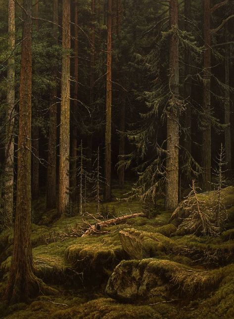 Study on Shishkin by https://www.deviantart.com/mhandt on @DeviantArt Forest Art Painting, Forest Paintings, Woods Painting, Forest Foliage, Old Forest, Oil Painting Lessons, Forest Photos, Forest Painting, Forest Landscape