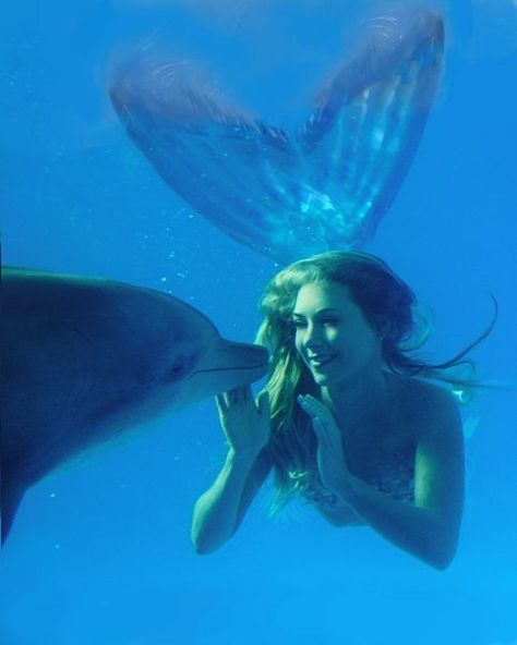 Magical mermaid and dolphins Real Life Mermaids, Kristina Webb, Bawah Air, Fotografi Bawah Air, Mermaid Photos, Under The Water, Real Mermaids, Mermaid Aesthetic, Fantasy Magic