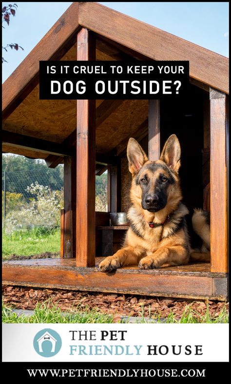 Is it cruel to leave a dog outside? The answer is: that depends. There are a number of factors that should be considered before making this decision. . . . . . . . #dogs #doghouse #doglover #weather #winter #summer Dog House On Porch, Outdoor Dog Living Area, Dog House Area Outside, Outdoor Winter Dog House, Outdoor Dog House For 2 Dogs, Dog House Shed Ideas, Large Dog Backyard Ideas, Luxury Dog House Outdoor, Outdoor Dog Space Ideas