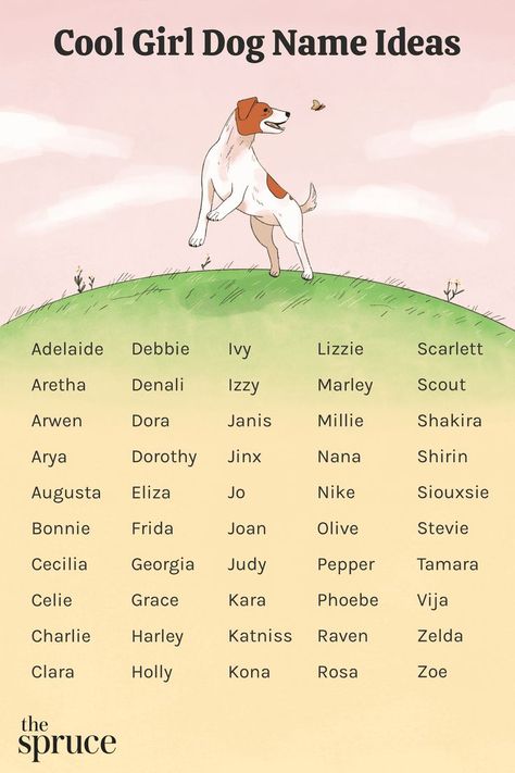 Unique Puppies, Cool Female Dog Names, Best Girl Dog Names, Disney Pet Names, Puppies Names Female, Funny Dog Names, Popular Dog Names, Dog Names Unique, Girl Dog Names