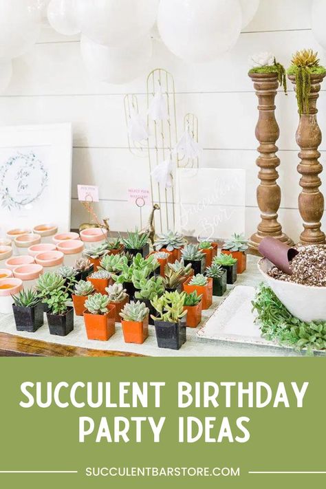 Planning a succulent themed birthday party? This ultimate guide has everything you need for the perfect birthday event - from supplies and decorations to activities and food. Create a unique and low-maintenance celebration that will leave your guests with a living memory to cherish. Let's get started! Visit Succulent Bar to learn more. Make Your Own Succulent Party, Plants Birthday Theme, Plant Themed Birthday Party, Succulent Party Theme, Plant Birthday Party, Succulent Birthday Party, Birthday Party Ideas For Women, Party Ideas For Women, Succulent Bar